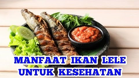 manfaat ikan lele untuk kesehatan