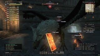 Dragons Dogma Online Raid 8 Player Grand Mission Max Points 6K