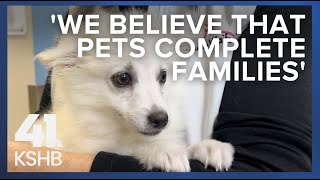 With adoptions down nationwide, Wayside Waifs works to make room for other rescues