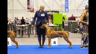 BRO' @World Dog Show Genève 24.08.2023