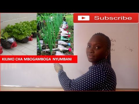 Video: Jinsi Ya Kupanda Kwenye Meli