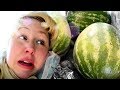 🚨ATTACKED by a WALMART WATERMELON + EMERGENCY FAMILY GROCERY HAUL!!