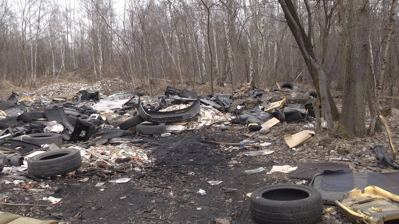 Kwiaty zamiast śmieci