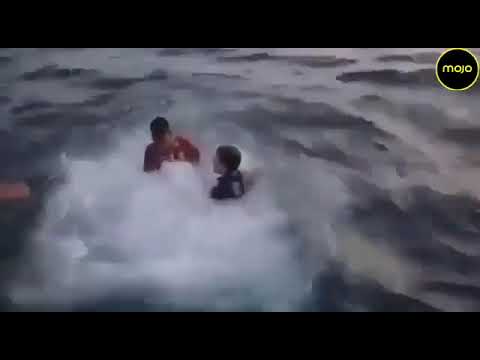 Rahul Gandhi Jumps In The Sea  Congress leader seen taking a dip at Thangassery Beach