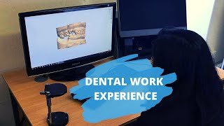 Celebrity Improve your dental school application by visiting a dental lab Net Worth