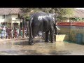 Elephant Thirumala Gajendran