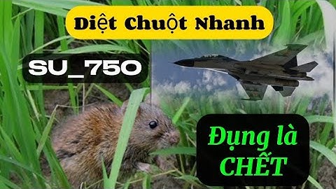 Cách diệt chuột chết nhanh nhất _ Chạm là chết | Nông Dân Miền Tây.