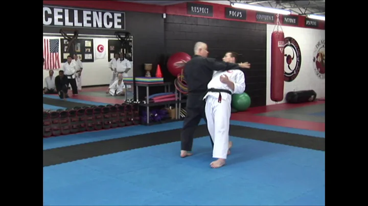 Paul J. Cote Baguazhang Training Clips 2010 & 2012