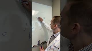 The Mechanism Behind a Bowel Movement | Colorectal Doctor Explains