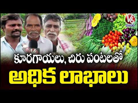 El Niño Effect Drives Farmers Towards Vegetable and Pulse Cultivation In Warangal | V6 News - V6NEWSTELUGU