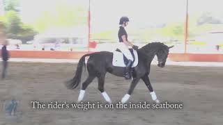 Sitting Correctly in Shoulder in and Half Pass Lesson 2 Haunches In Shoulder In And Half Pass
