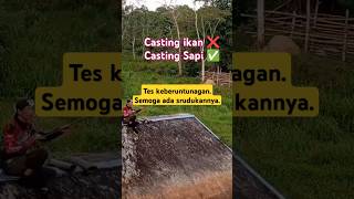 mohon saran suhu,umpan yang cocok #pengikut #sorotan #videoreel #reelyutuber #jangkauan #interaksi