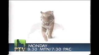 1995 PBS PTV Eyewitness Cat Promo Commercial