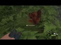 Highlight: Gecheckt!... Gold!!... Er war weg… dachte ich! Rothirsch Grind Drama auf Hirschfelden (