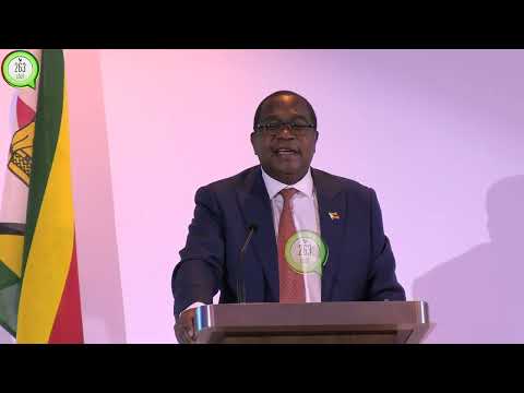 Mtuli Ncube at the Zimbabwe Investments And Developments Agency(ZIDA)