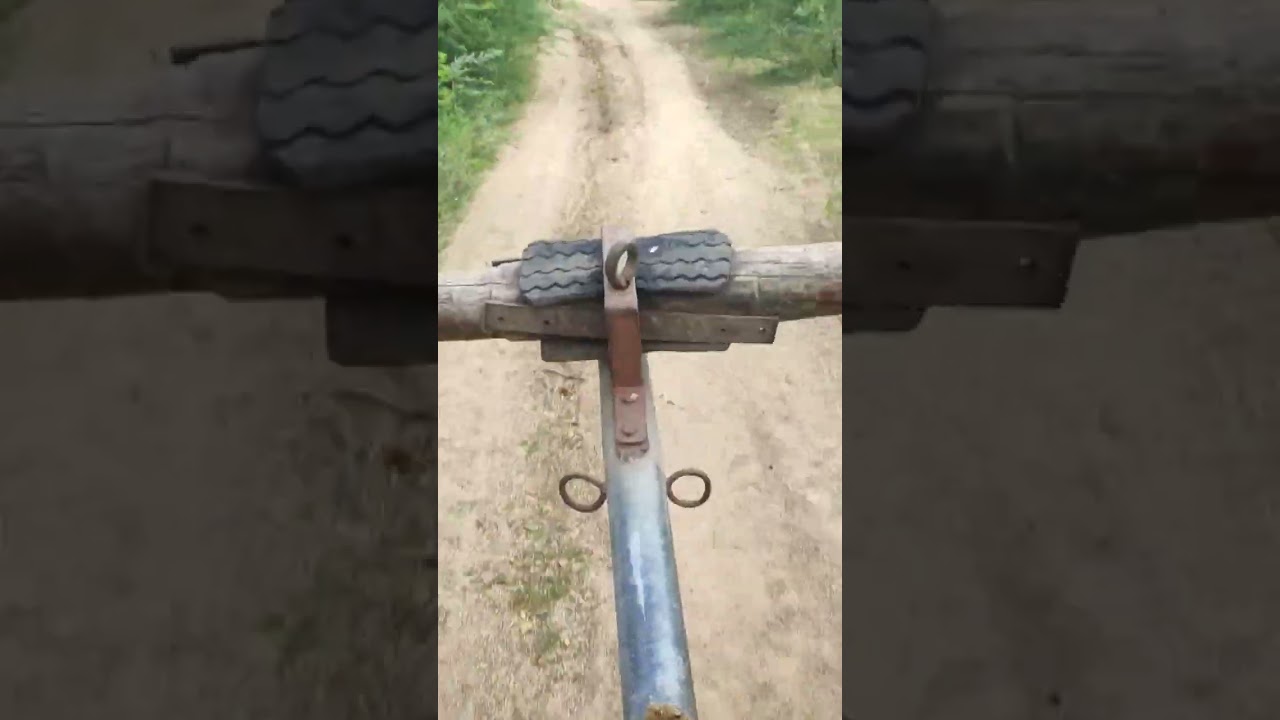 Bullock Bullockcart racing video