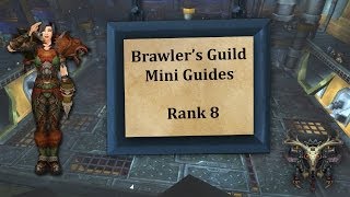 Brawler's Guild Mini Guides - Rank 8 - Hunter PoV