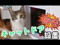 仔猫が通る激安キャットドアを付けてみた！ - I installed the door for the kitten to pass through