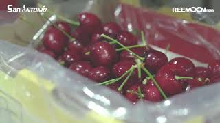 Cherry Sorting  Project Success in San Antonio!