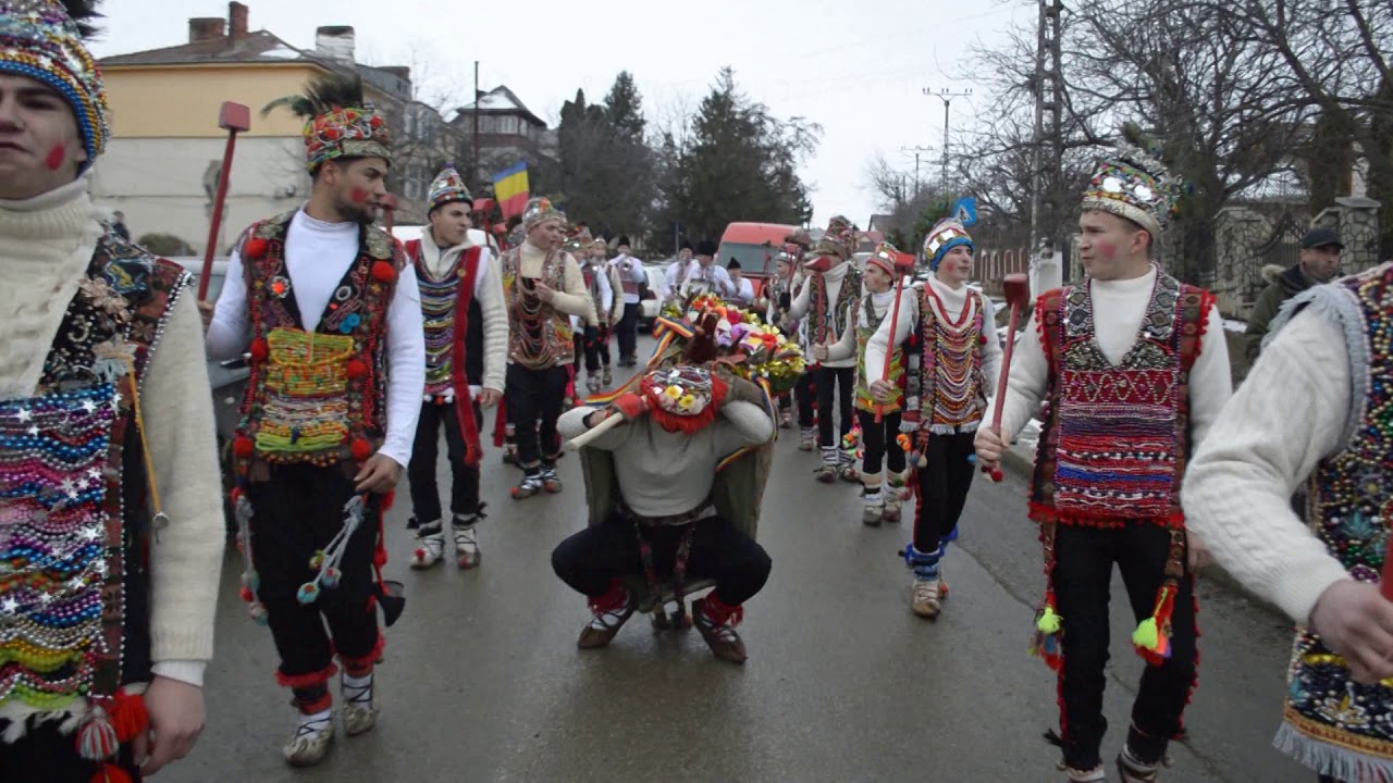 CERBUL DE LA LUPARIA   COTNARI 31 DECEMBRIE 2019