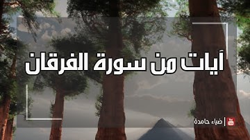 "ألم تر إلى ربك كيف مد الظل" - آيات من #سورة_الفرقان | #ضياء_حامدة
