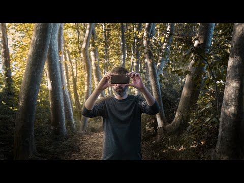 Video: Cómo Fotografiar Un Bosque