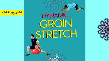 Dynamic Adductor Stretch 4k