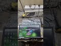 ✅ Lenovo IdeaPad V145-15AST | Brightness Key Short 💡 | Keyboard Replacement Done 🔧💻