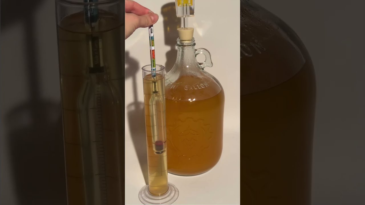 How To Use A Hydrometer Calculate ABV
