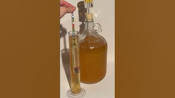 How To Use a Hydrometer To Calculate ABV