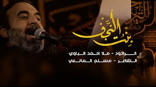 بنت النجف || الرادود_احمد_الباوي || - صفر ١٤٤٤هـ