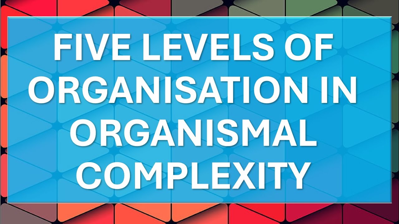 FIVE LEVELS OF ORGANISATION IN ORGANISMAL COMPLEXITY - YouTube