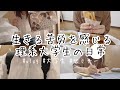 生きる苦労を感じた大学生の日常/国立理系/就活🤔