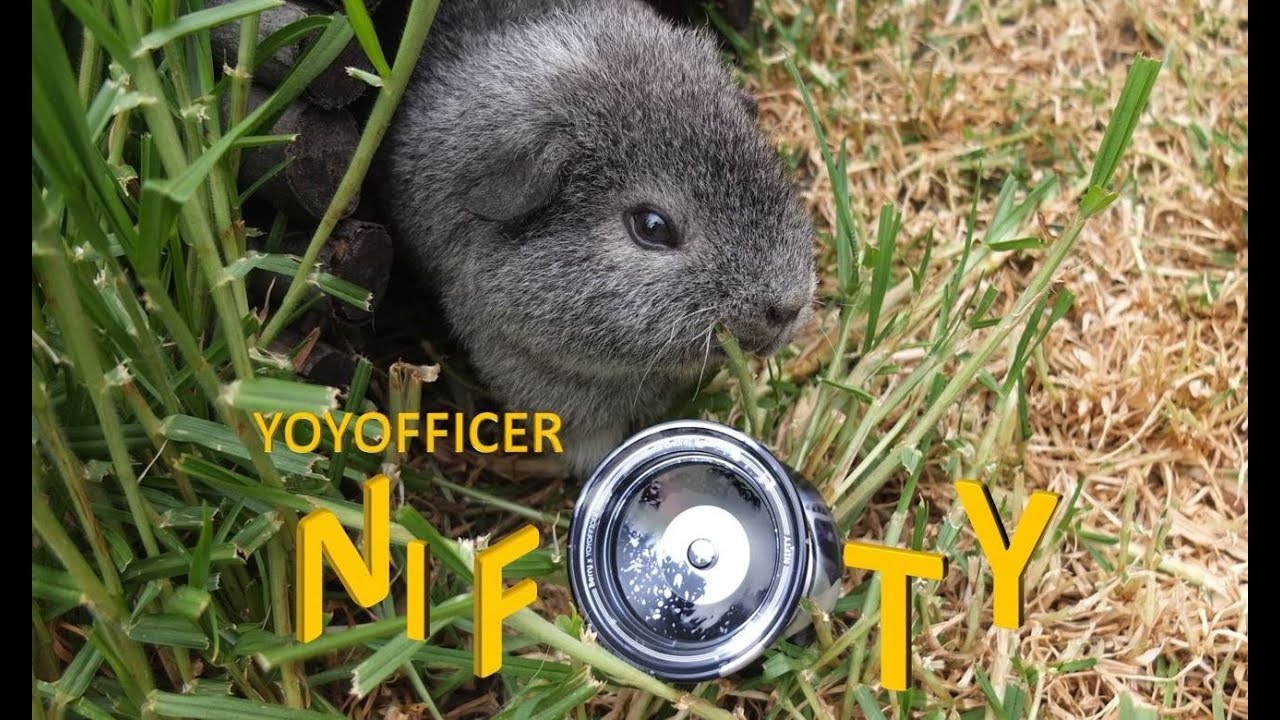 YOYOFFICER Nifty - Unboxing and Review