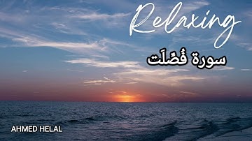 تأملات رائعة في سورة فصلت✨| سورة فصلت (كاملة) | القارئ احمد هلال |PROOF OLD IS GOL | Surah Fussilat