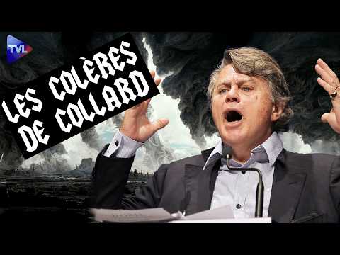 Lang, the Devil Wears Culture! Collard's Outbursts - TVL