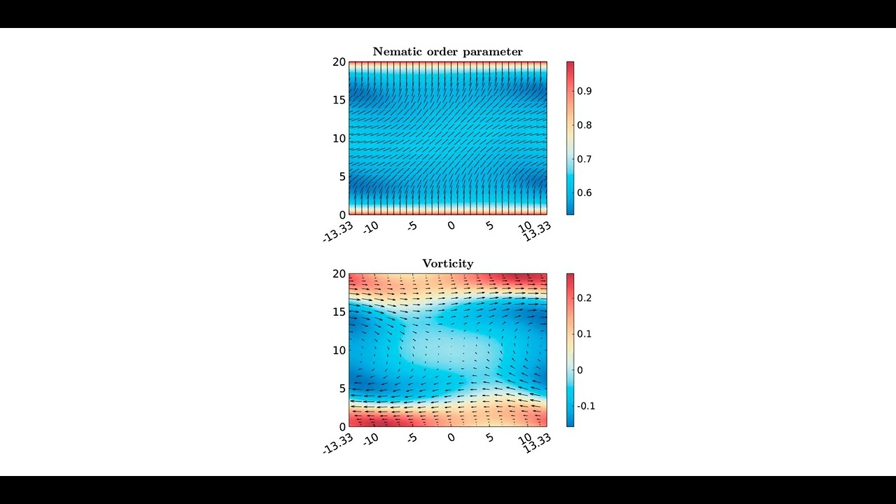 A standing wave containing a single vortex in 2D Active nematic channel flow