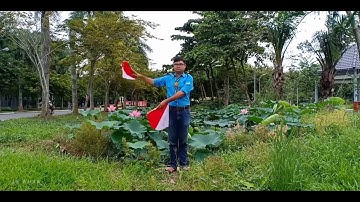 Bản Tin Semaphore Số 01