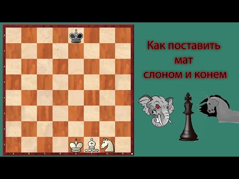 Видео: Как поставить мат слоном и конем