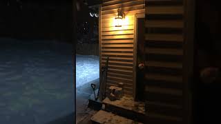Snow February 19   2021