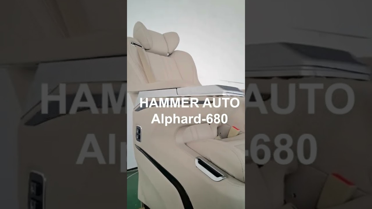 Luxury Van interior upgrade solution provider from China