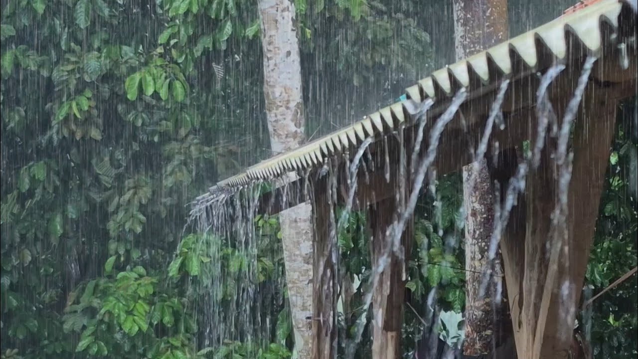 Nonstop Heavy Rain 🌧️ Instant Deep Sleep & Stress Relief