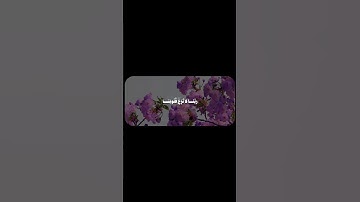 رَبَّنَا لَا تُزِغْ قُلُوبَنَا بَعْدَ إِذْ هَدَيْتَنَا | سورة آل عمران - الشيخ محمود علي البنا