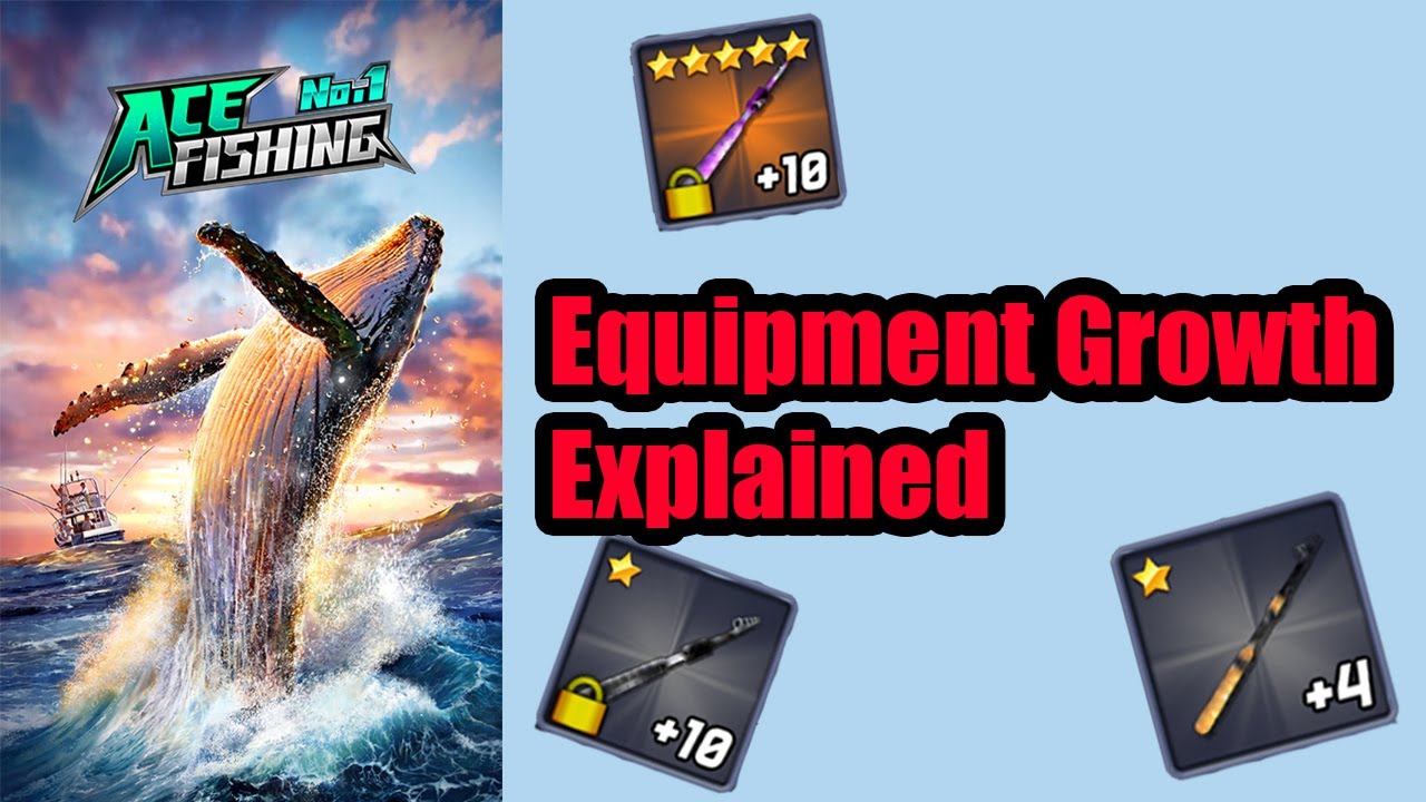 Ace Fishing Equipment Growth Explained YouTube