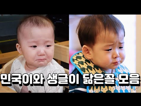 <strong>민국이</strong> 닮은꼴 생글이 사진으로 비교해보기 : ) 생글이보다 어린 11개월 아기동생 만난 일상