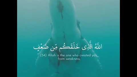 القران الكريم 602