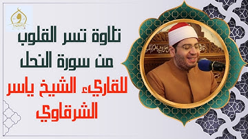 تلاوة تسر القلوب من سورة النحل - القاريء الشيخ ياسر الشرقاوي