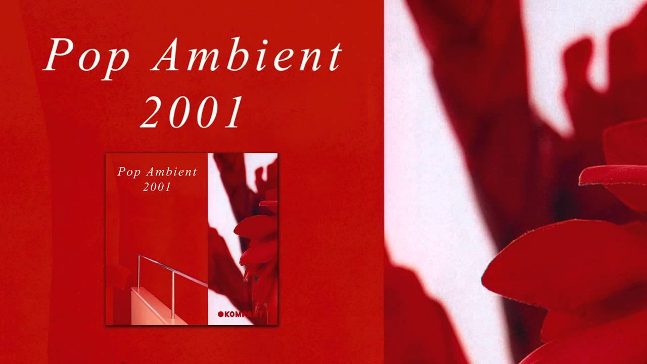 Reinhard - Premiere 'Pop Ambient 2001' Album