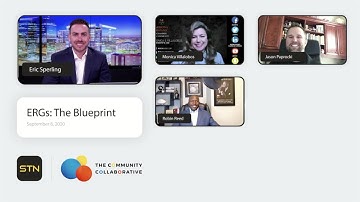 What are Employee Resource Groups (ERGs)?