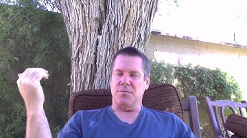 Proactive vs  Reactive Health